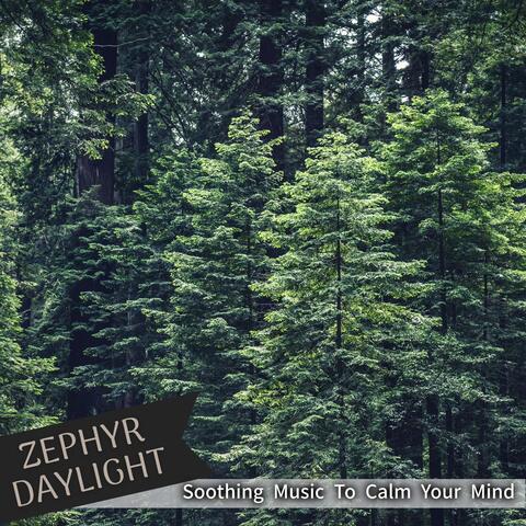 Soothing Music To Calm Your Mind
