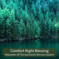 Subtle Infusion of Solace