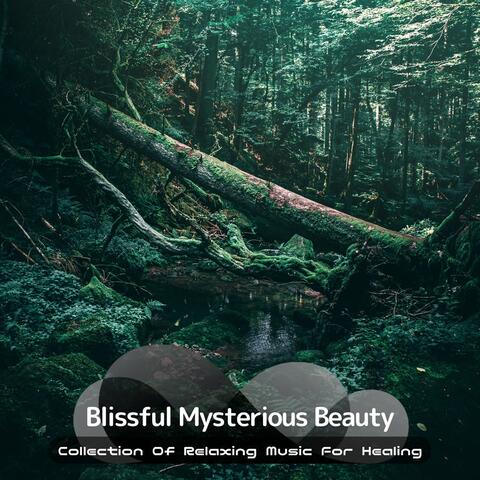 Collection Of Relaxing Music For Healing