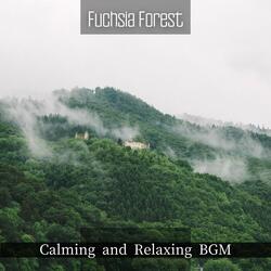 Celestial Patterns for Relaxation