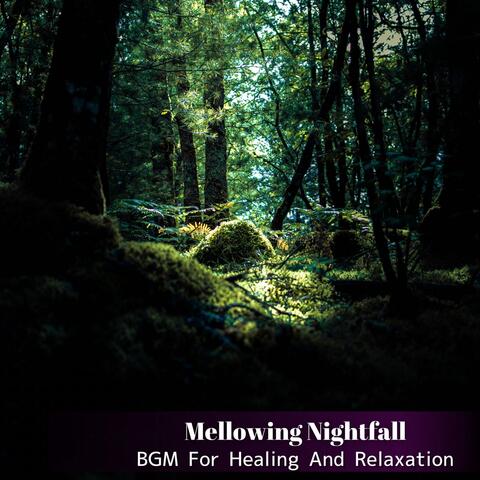 BGM For Healing And Relaxation