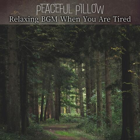 Relaxing BGM When You Are Tired