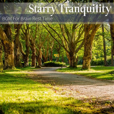 BGM For Brain Rest Time