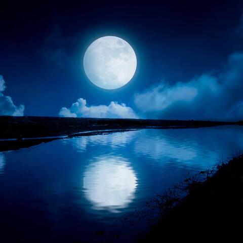 Tranquil Music for Quiet Evenings