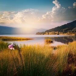 Tranquil Melodies for Rest