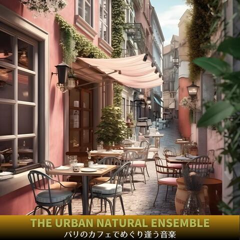 パリのカフェでめぐり逢う音楽