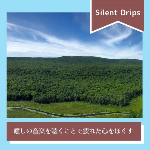 癒しの音楽を聴くことで疲れた心をほぐす