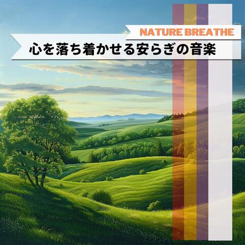 心を落ち着かせる安らぎの音楽