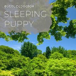 Relaxed and Refreshed