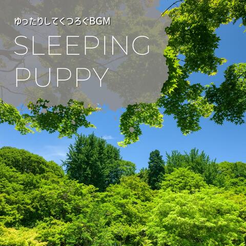 ゆったりしてくつろぐBGM