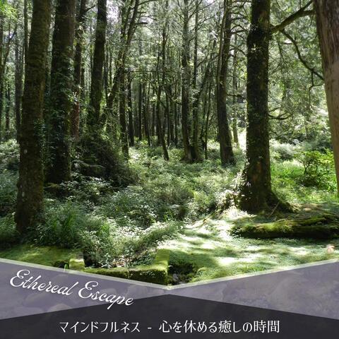 マインドフルネス - 心を休める癒しの時間