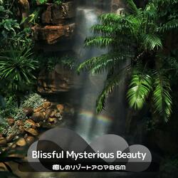 Cognitive Serenity Flow