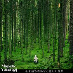 Calm Harbor at Night