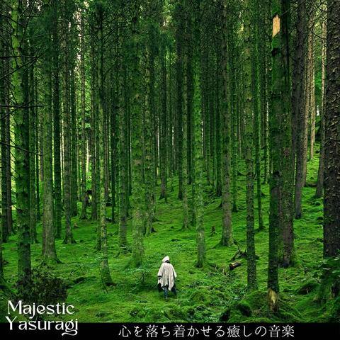 心を落ち着かせる癒しの音楽