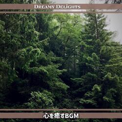 Soothing Shores of Solitude