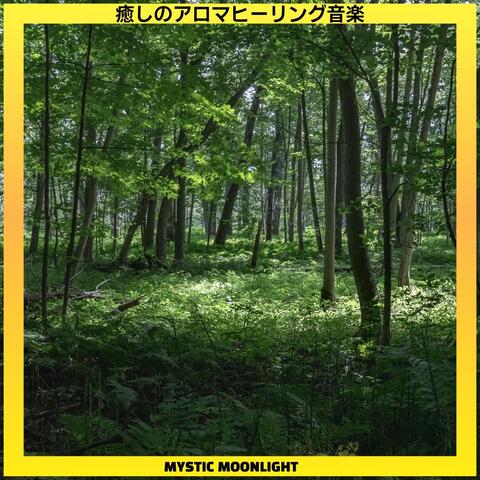癒しのアロマヒーリング音楽