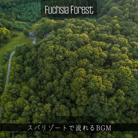 スパリゾートで流れるBGM