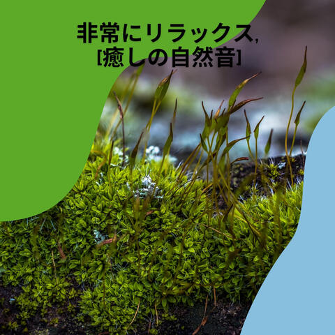 非常にリラックス, [癒しの自然音]