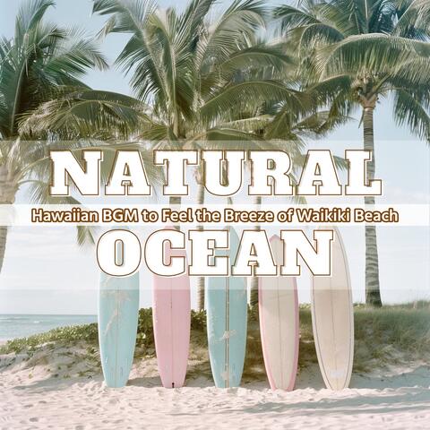 Hawaiian BGM to Feel the Breeze of Waikiki Beach
