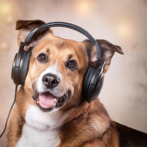 Dogs’ Sounds: Music for Relaxed Pups