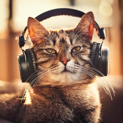 Feline Harmony: Soothing Sounds for Cats