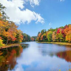 Tranquil Peace Soft Melodies