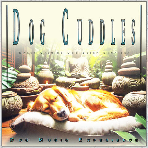 Dog Cuddles: Sweet Calming Dog Sleep Symphony