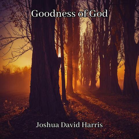 Goodness of God