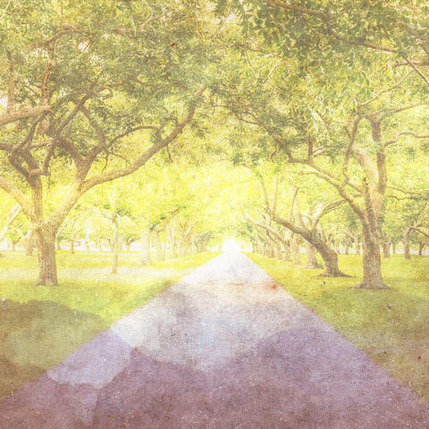 A Walk in The Park