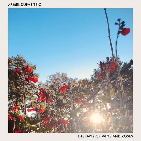 The Days of Wine and Roses
