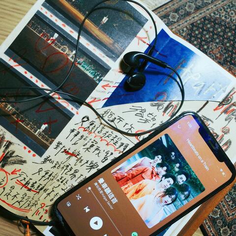 Heartbeats on a Train