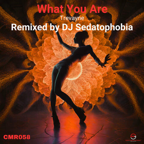 What You Are