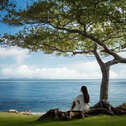 Mind and Soul Harmony