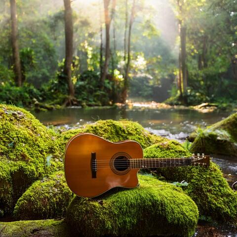 Sunset Strings: Relaxation Guitar at Dusk
