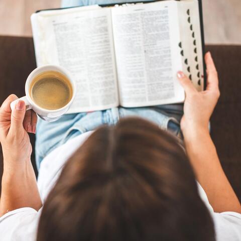 Serene Sounds for Quiet Study Hours