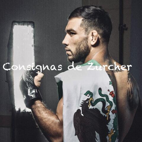 Consignas de Zurcher