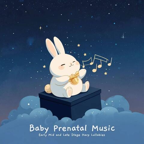 Baby Prenatal Music: Early Mid and Late Stage Harp Lullabies