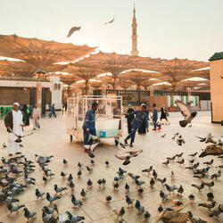 Al Duwadimi
