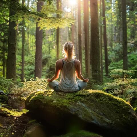 Melodías Suaves De Jazz Para La Paz Interior