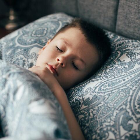 Peaceful Lullaby Music for Quiet Baby Moments