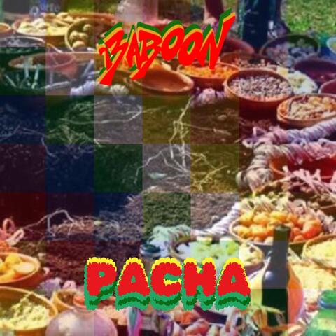 Pacha