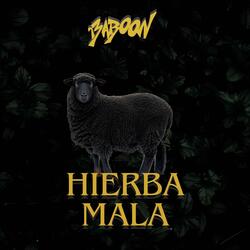 Hierba Mala