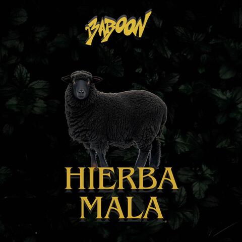 Hierba Mala