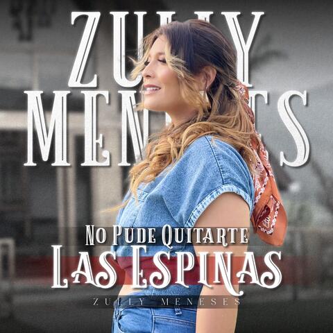 No Pude Quitarte Las Espinas