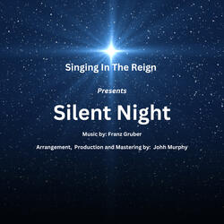 Silent Night Instrumental