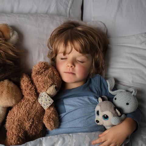 Baby Nighttime Harmony: Relaxing Lullabies