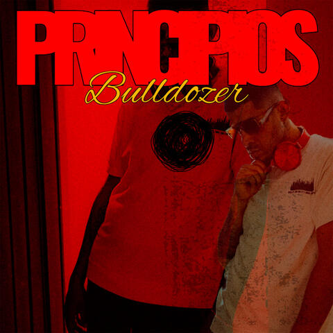 PRINCIPIOS