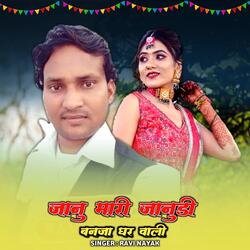 Jaanu Mari Janudi