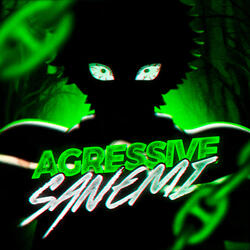 Agressive Sanemi