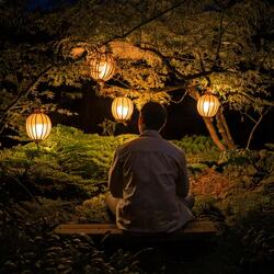 Calming Rhythms for Gentle Relaxation